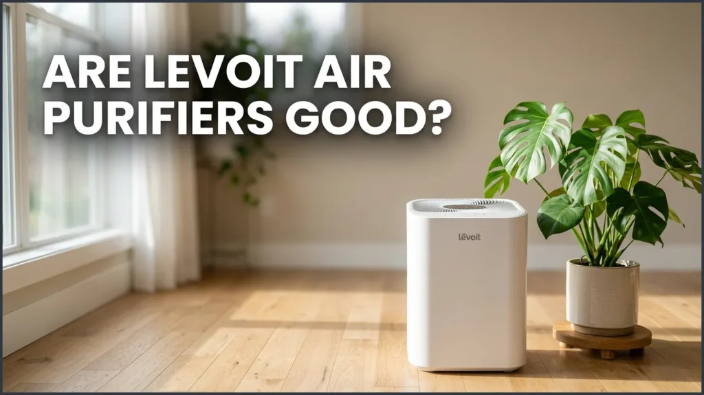Are Levoit Air Purifiers Good? Are Levoit Air Purifiers Good?