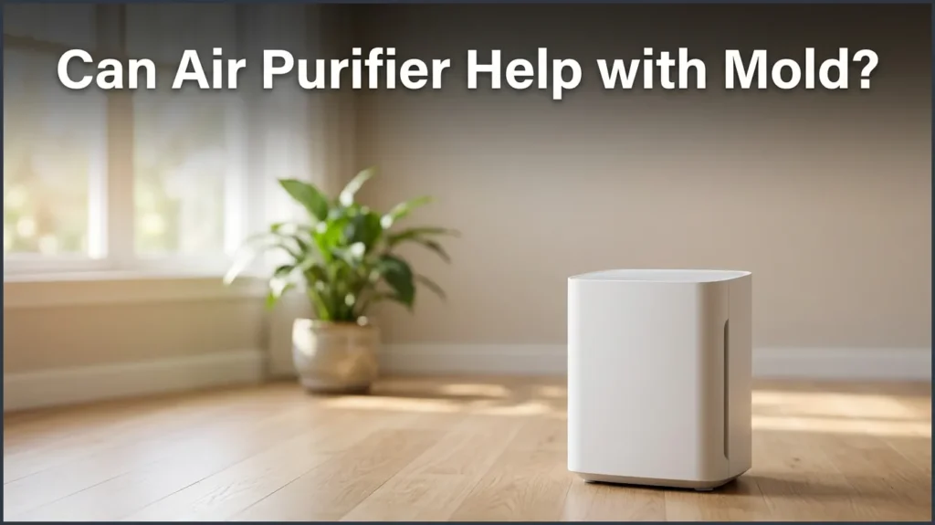 Can Air Purifier Help With Mold?
