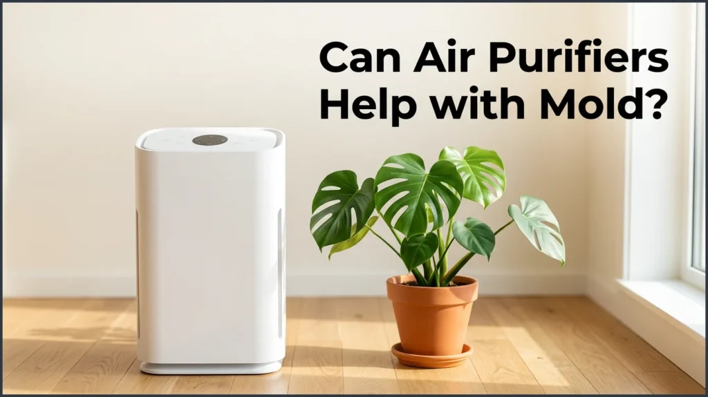 Can Air Purifiers Help with Mold? Can Air Purifiers Help With Mold?