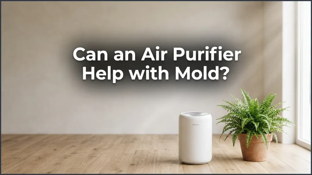 Can an Air Purifier Help With Mold?