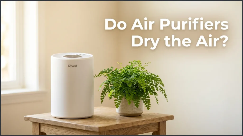 Do Air Purifiers Dry the Air?