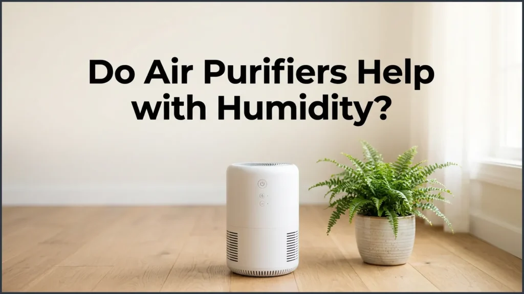 Do Air Purifiers Help With Humidity?
