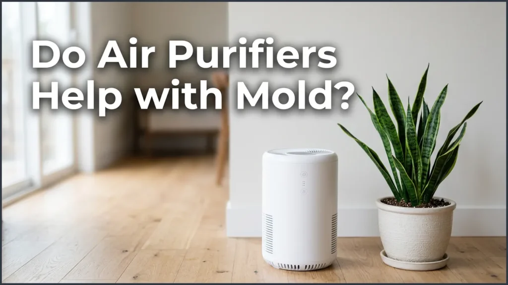Do Air Purifiers Help with Mold? Do Air Purifiers Help With Mold?