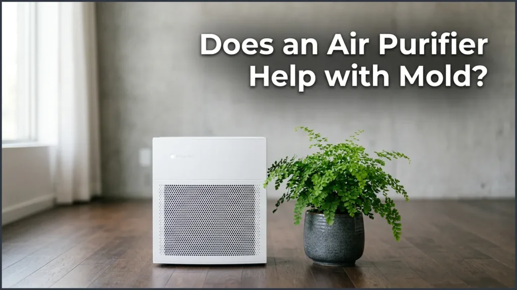 Does an Air Purifier Help with Mold? Does an Air Purifier Help With Mold?