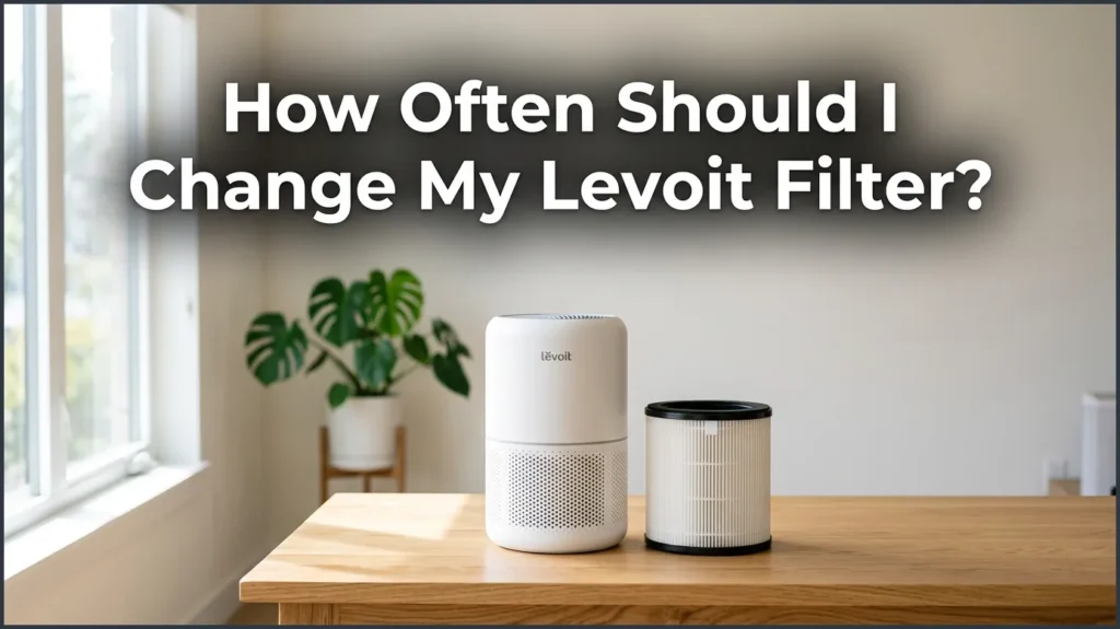 How Often Should I Change My Levoit Filter? How Often Should I Change My Levoit Filter?
