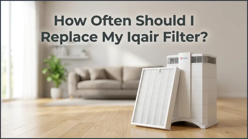 How Often Should I Replace My Iqair Filter? How Often Should I Replace My IQAir Filter?