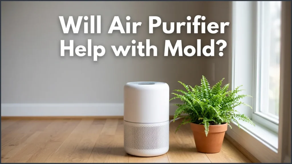 Will Air Purifier Help With Mold?