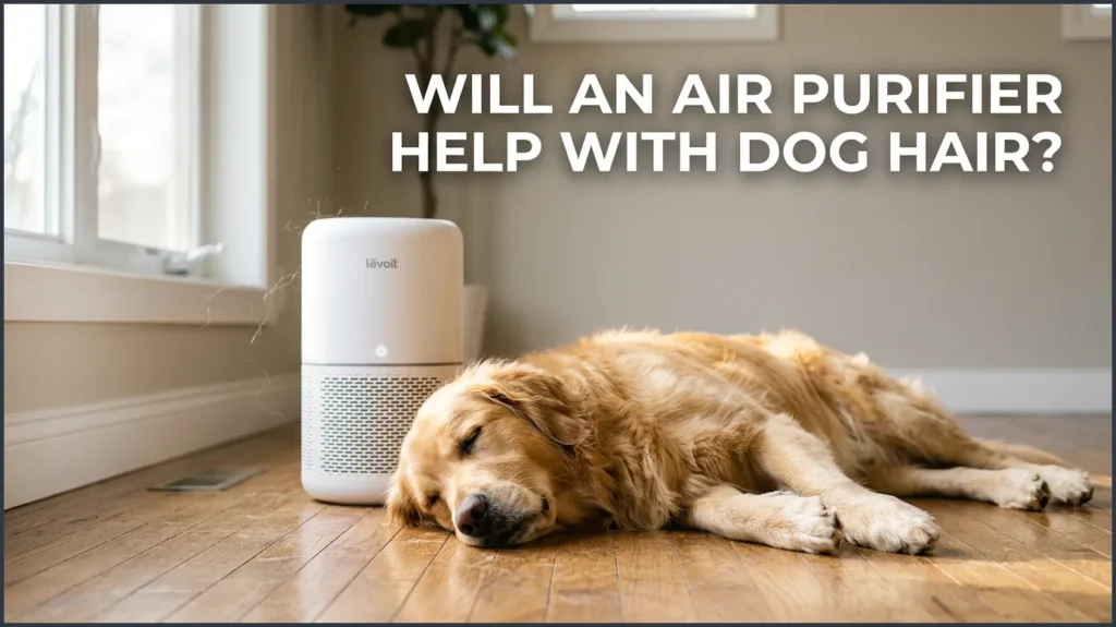 Will an Air Purifier Help With Dog Hair?