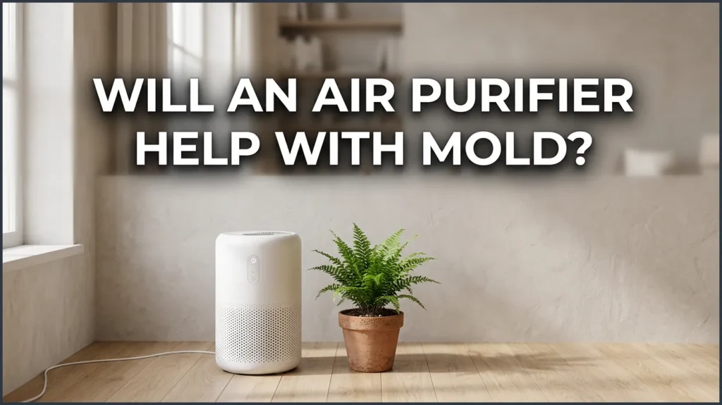 Will an Air Purifier Help With Mold?